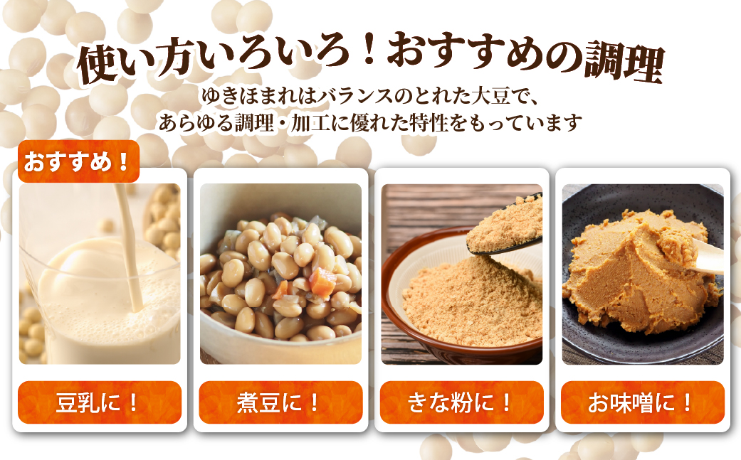 北海道壮瞥町産大豆 ゆきほまれ 約10kg SBTQ011