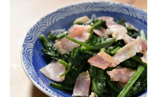 ＜2025年12月上旬よりお届け＞大作農園の寒締めちぢみほうれん草　約1.2kg SBTR001