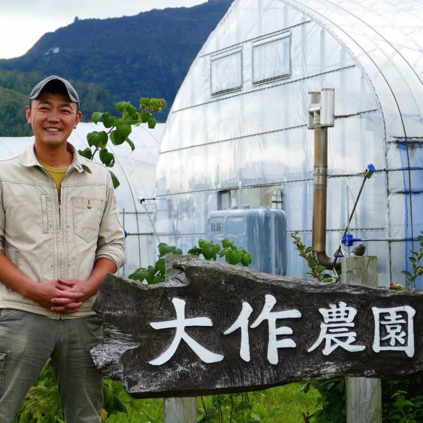 ＜2025年12月・2026年8月お届け＞大作農園　寒締めちぢみほうれん草約1.2kg・カラフルミニトマト約1.5kg　2回お届け定期便 SBTR006