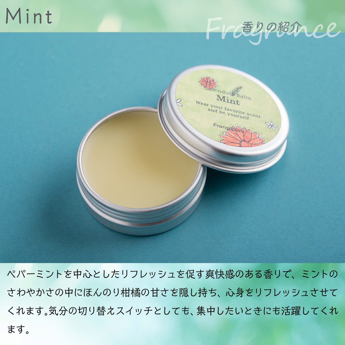 北海道アカシアはちみつ100gとカレンデュラバーム1個（MINT）のセット SBTX007-1