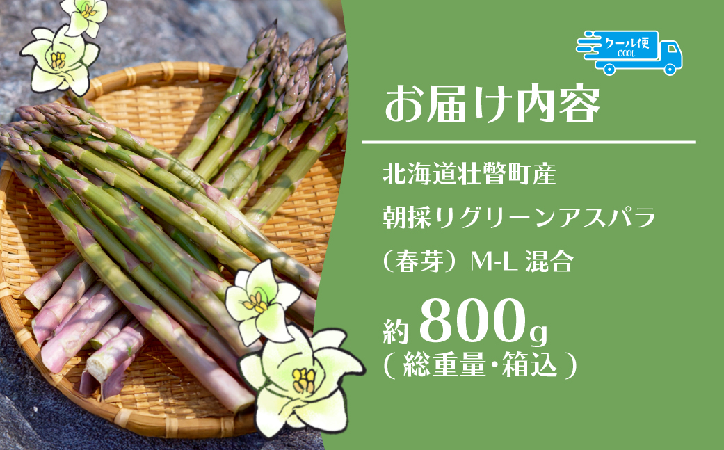 【2026年予約】朝採りグリーンアスパラ（春芽）M-L混合 約800g 北海道壮瞥町産 SBTAJ031