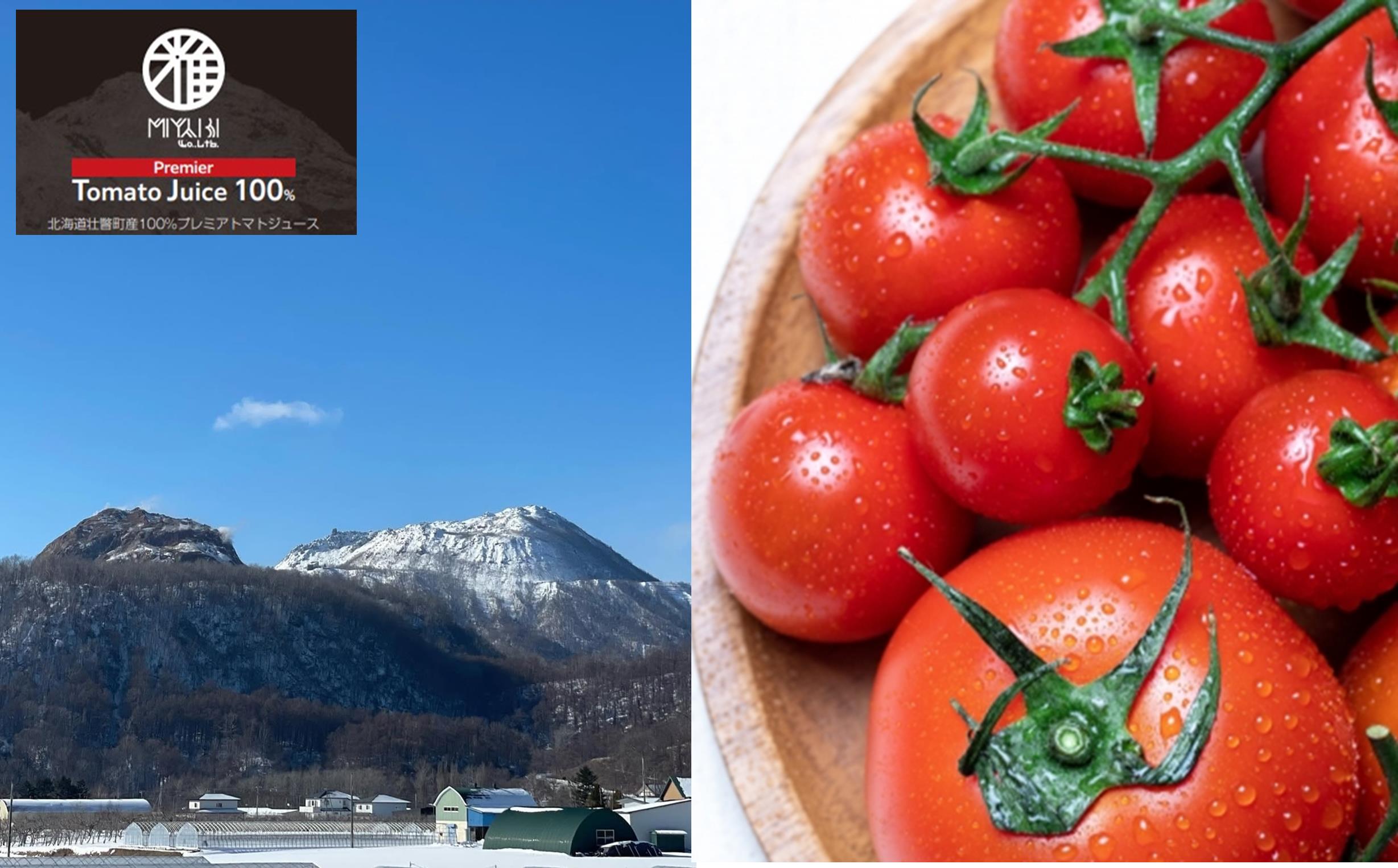 無添加トマトジュース（ストレート）180ml×2本【プレミア2本】 SBTAK002