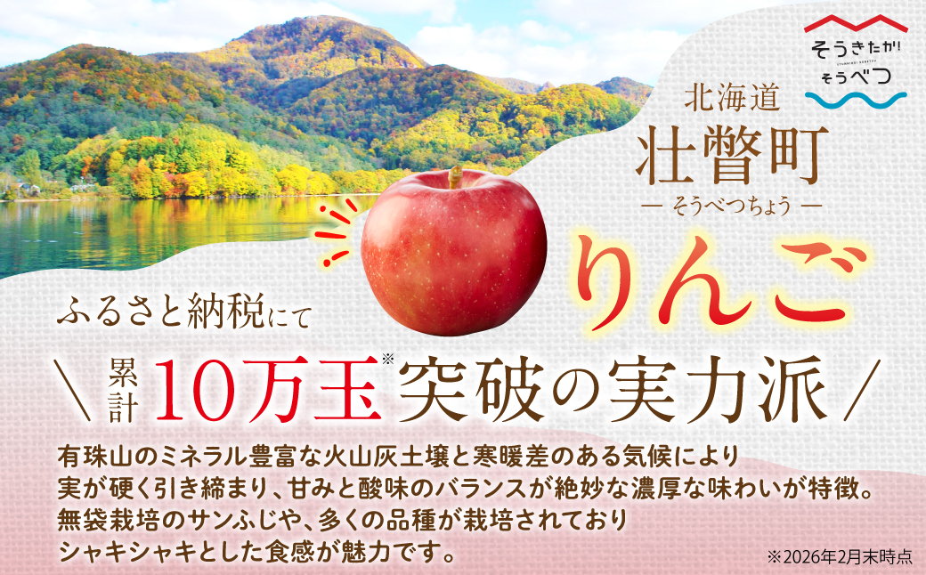 ＜2025年10月中旬よりお届け＞ 北海道壮瞥町 りんご 品種名「早生ふじ」8～10玉約3kg SBTF002