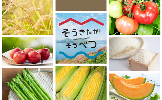 ＜2025年11月初旬よりお届け＞ 北海道壮瞥町 りんご 品種名「おいらせ」約7～10玉 約3kg SBTF005