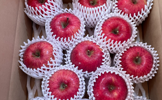 ＜2025年12月上旬よりお届け＞北海道壮瞥町　りんご　品種名「サンふじ」12～18玉約5kg SBTF007