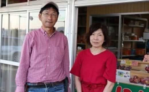 ＜2025年10月中旬よりお届け＞北海道壮瞥町　りんご　品種名「早生ふじ」12～18玉約5kg SBTF009