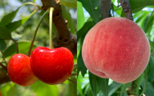 手作りジャムのパーティセット(5種類以上計18本) SBTK003