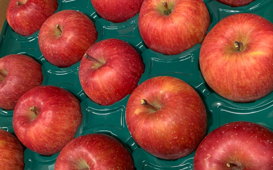 ＜10月中旬頃よりお届け＞北海道壮瞥産りんご 早生ふじ 約5kg(13～18玉)【贈答用】 SBTK014