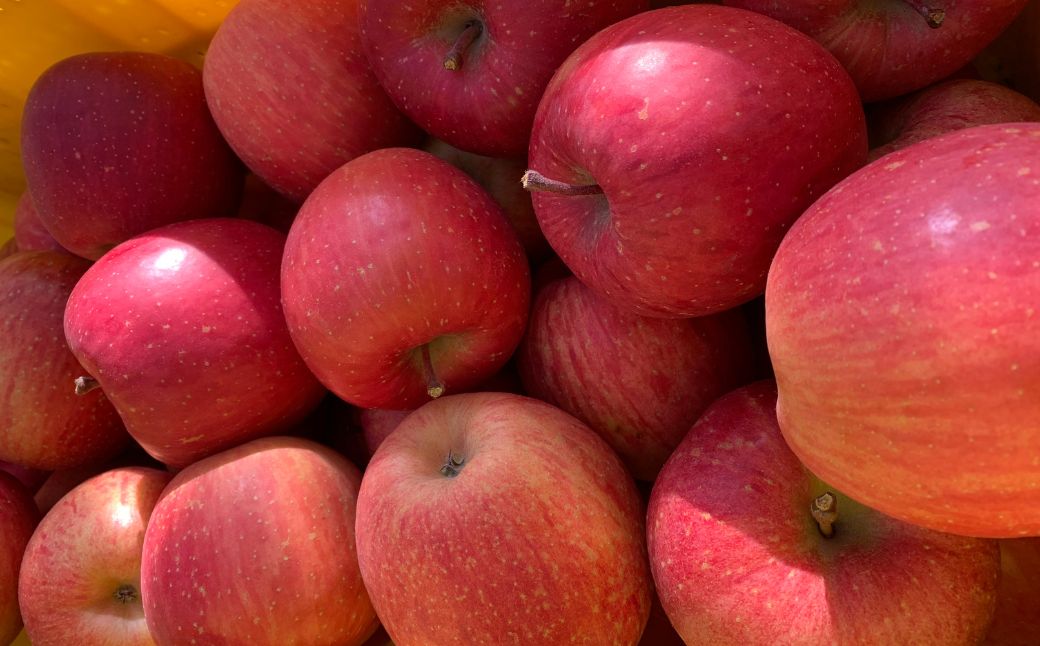 ＜11月下旬頃よりお届け＞北海道壮瞥産りんご サンふじ 約5kg(14～20玉)【ご家庭用】 SBTK015