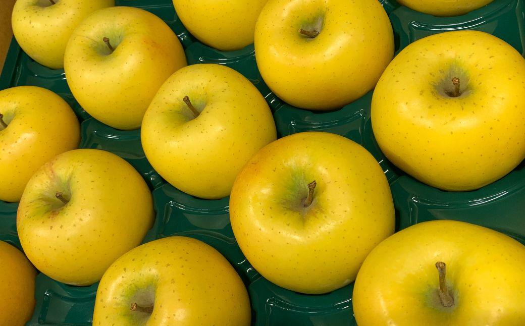 ＜11月下旬頃よりお届け＞北海道壮瞥産りんご シナノゴールド 約5kg(14～20玉)【ご家庭用】 SBTK017