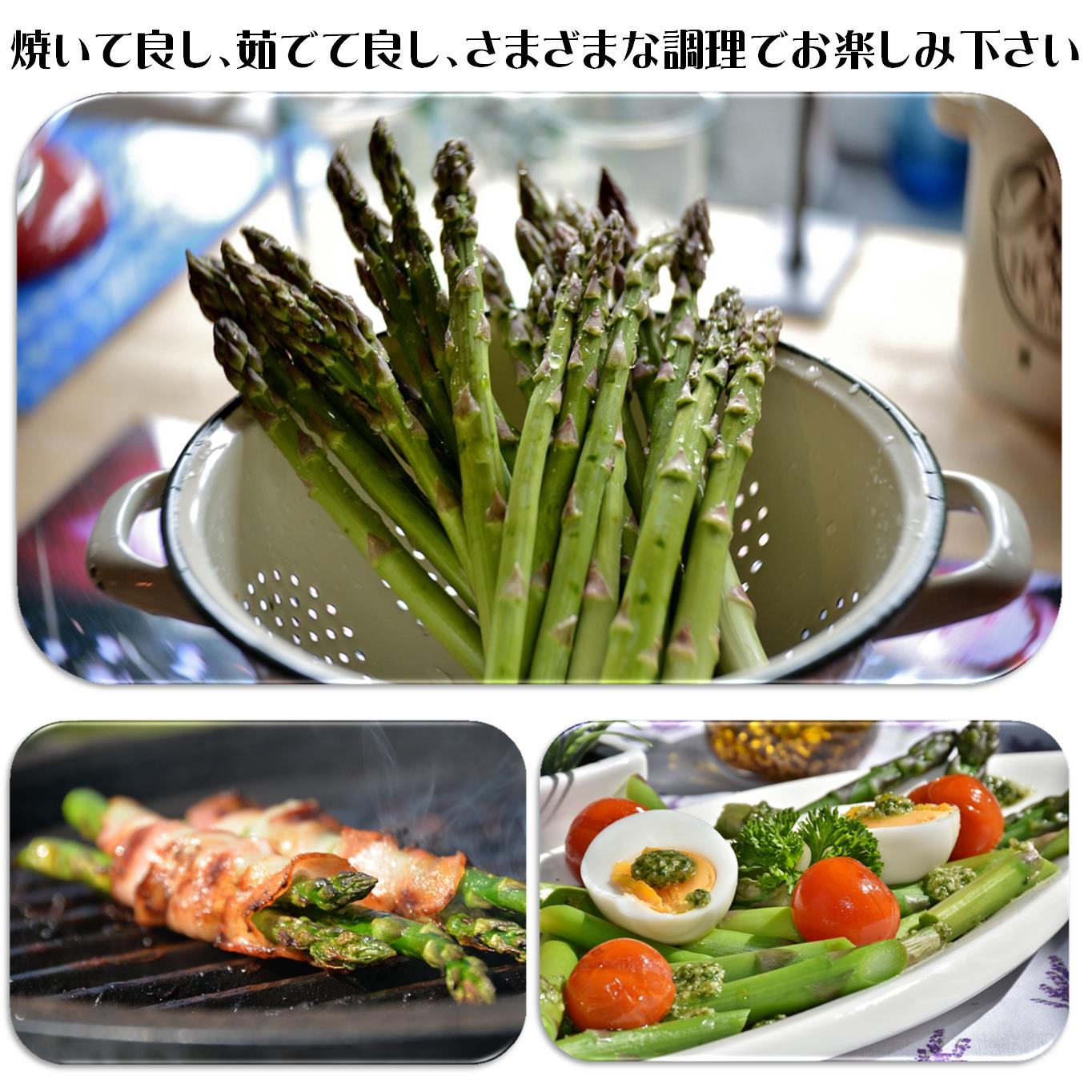 ＜2026年5月中・下旬よりお届け＞北海道壮瞥産「ファーム横山」朝採れ直送　グリーンアスパラ約1kg（L・2L混合） SBTM008