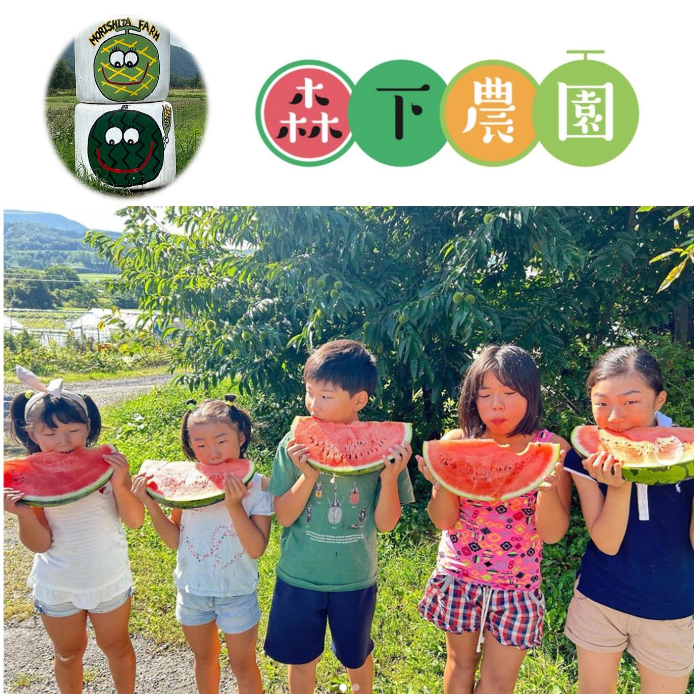 ＜2026年8月上旬よりお届け＞北海道壮瞥産　新山すいか 小玉すいか（マダーボール）Lサイズ2玉 スイカ SBTN002