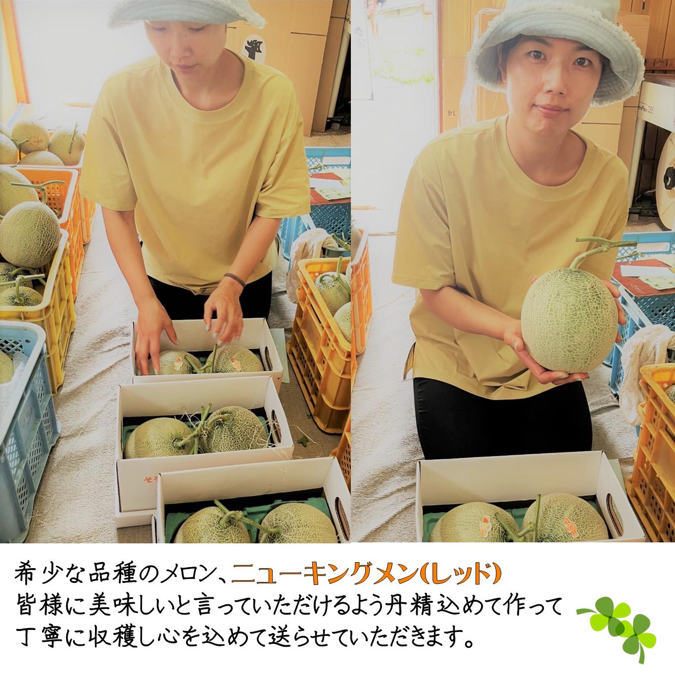 ＜2026年7月下旬よりお届け＞北海道壮瞥産 赤肉メロン（ニューキングメロン）2玉 約3kg SBTN003