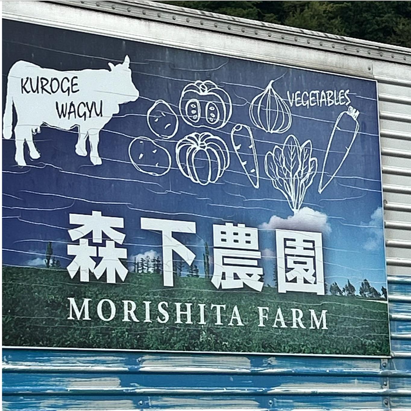 ＜2026年9月下旬よりお届け＞北海道壮瞥町産じゃがいも（とうや）Lサイズ10kg SBTN005