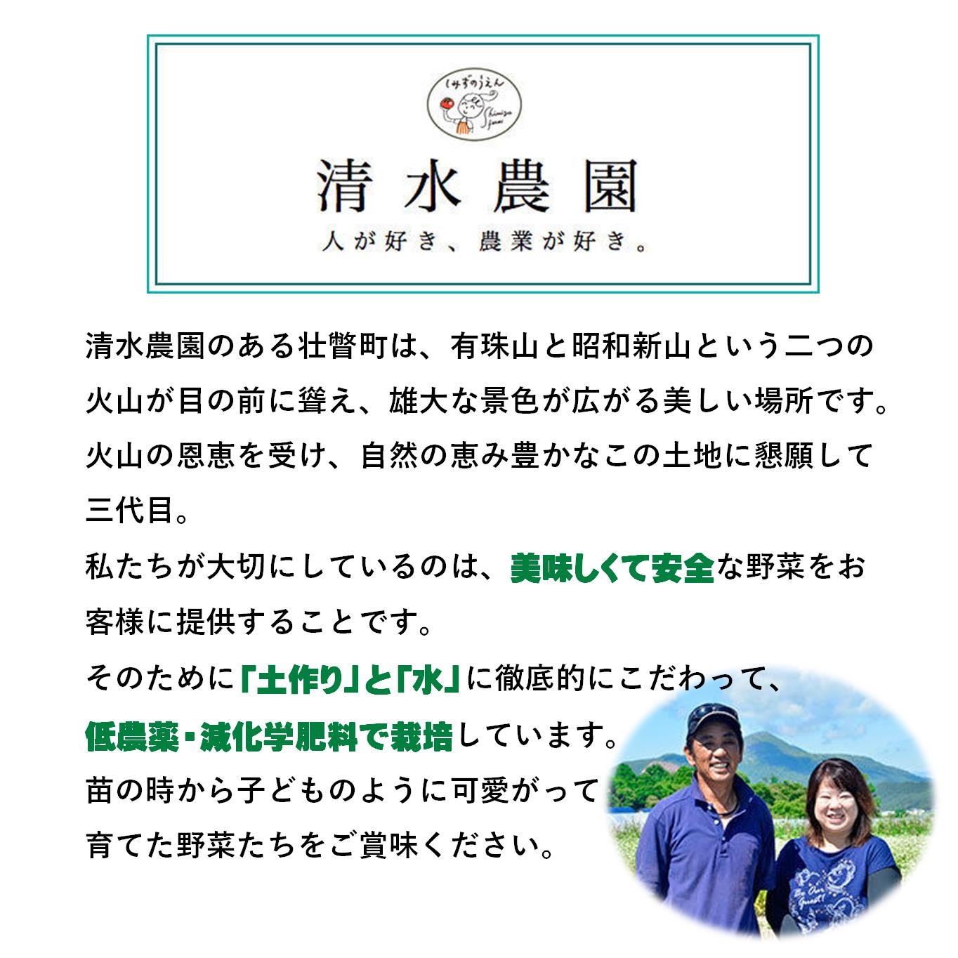 ＜2026年9月初旬よりお届け＞【農園直送】清水農園のかぼちゃ(甘旨）約10kg (4～6玉) SBTO013