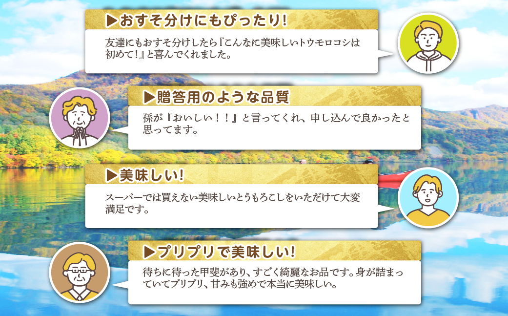 ＜2026年8月初旬よりお届け＞約5kg！北海道壮瞥産とうもろこし（恵味）【Ｌ～2Lサイズ 11～13本】 SBTP002
