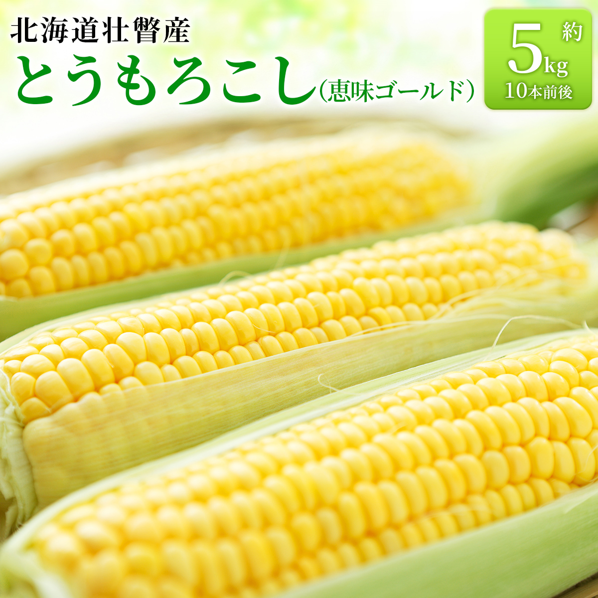 ＜2026年8月上旬より順次お届け＞北海道壮瞥産 とうもろこし（恵味ゴールド）約5kg SBTA001