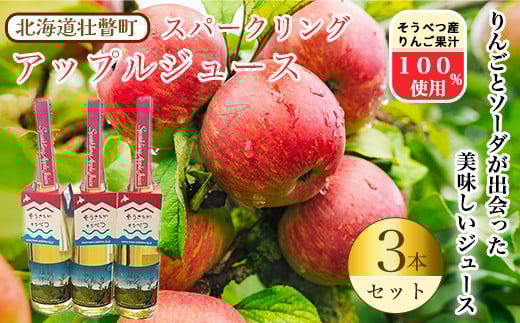 スパークリングアップルジュース3本セット ※そうべつ産りんご100%使用 SBTA014