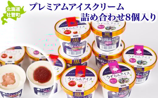 プレミアムアイスクリーム詰め合わせ8個入り SBTA035