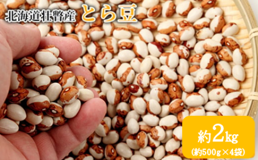 <2025年11月中旬よりお届け>北海道壮瞥産　とら豆　約2kg（約500g×4袋） SBTA039