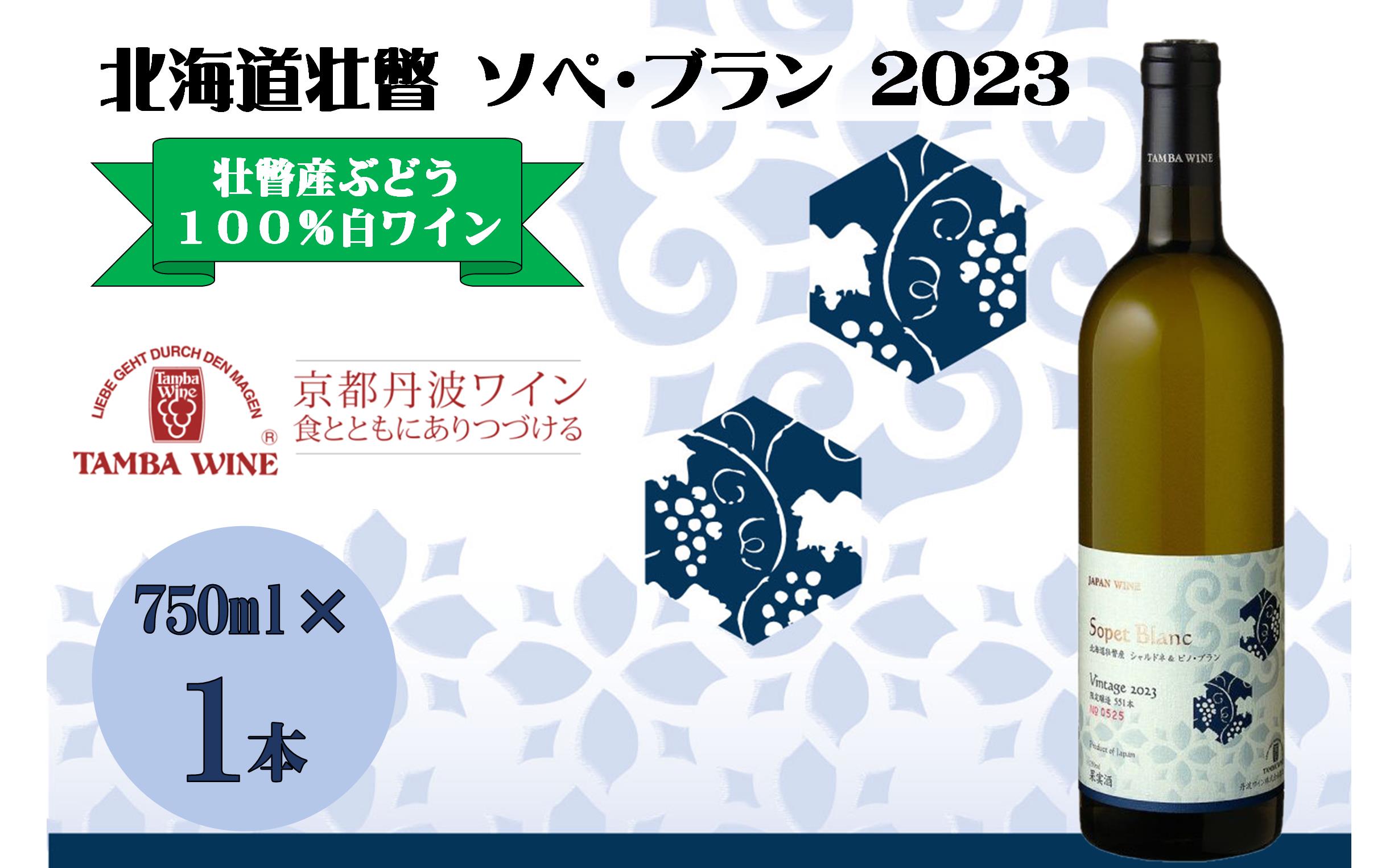 北海道壮瞥産 ソペ・ブラン2023(辛口白ワイン) 750ml SBTA084