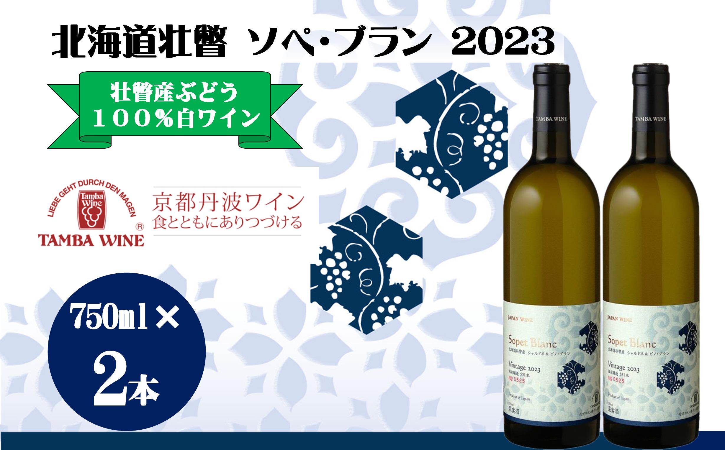 北海道壮瞥産 ソペ・ブラン2023(辛口白ワイン) 750ml×2本 SBTA085