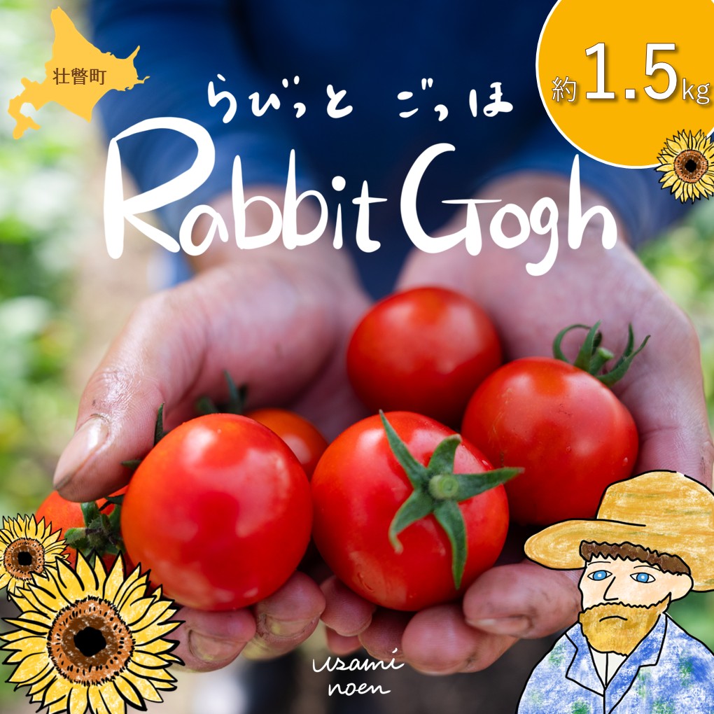 北海道壮瞥町産 ラビットゴッホ1.5kg 中玉トマト SBTAJ002