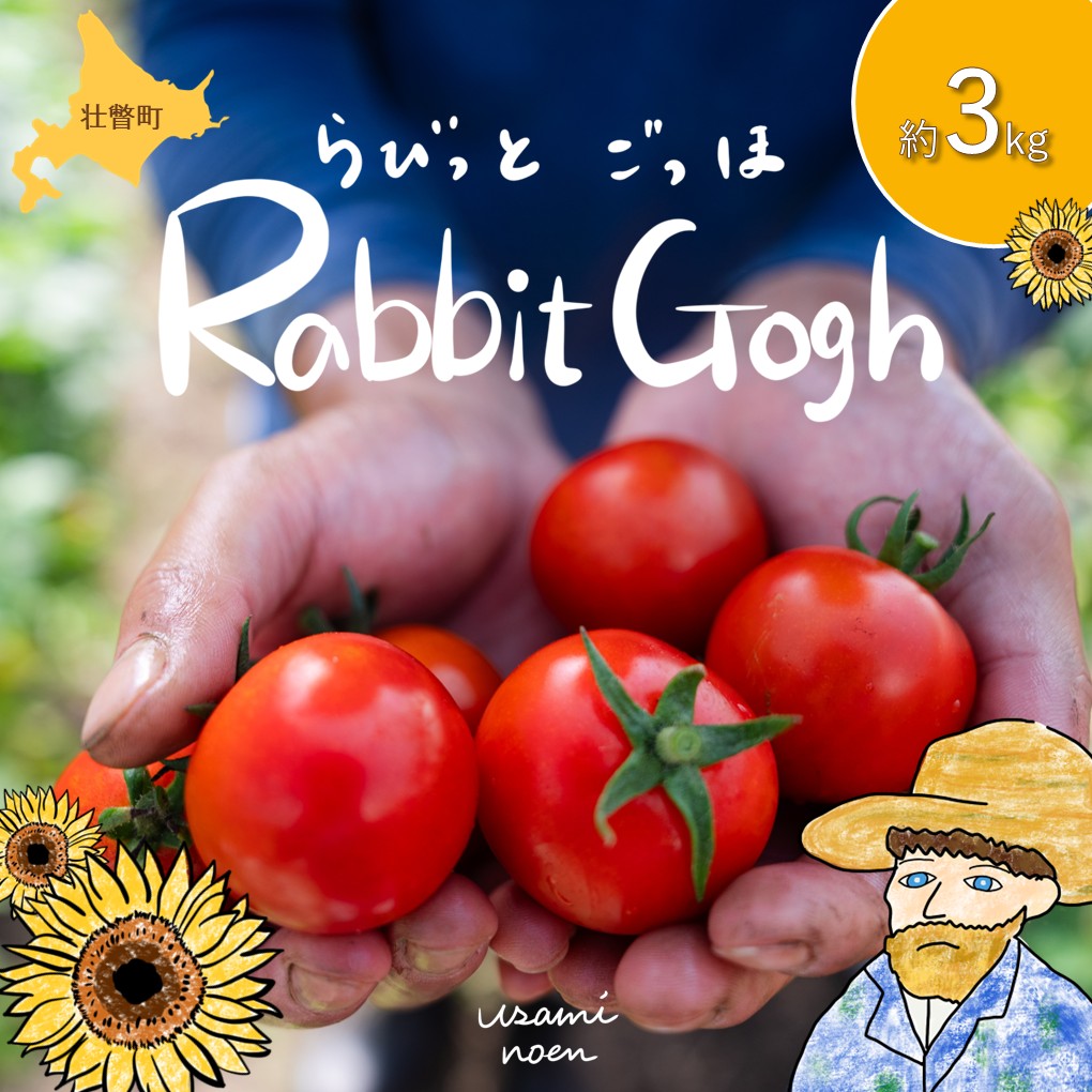北海道壮瞥町産 ラビットゴッホ3kg 中玉トマト SBTAJ004