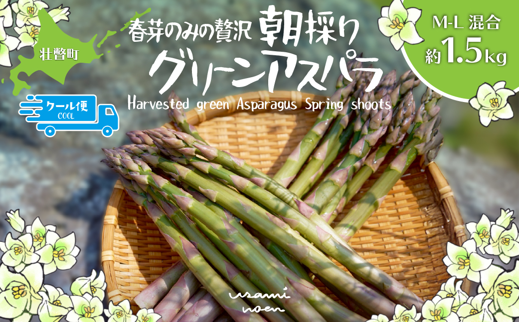 【2026年予約】朝採りグリーンアスパラ（春芽）M-L混合 約1.5kg 北海道壮瞥町産 SBTAJ033