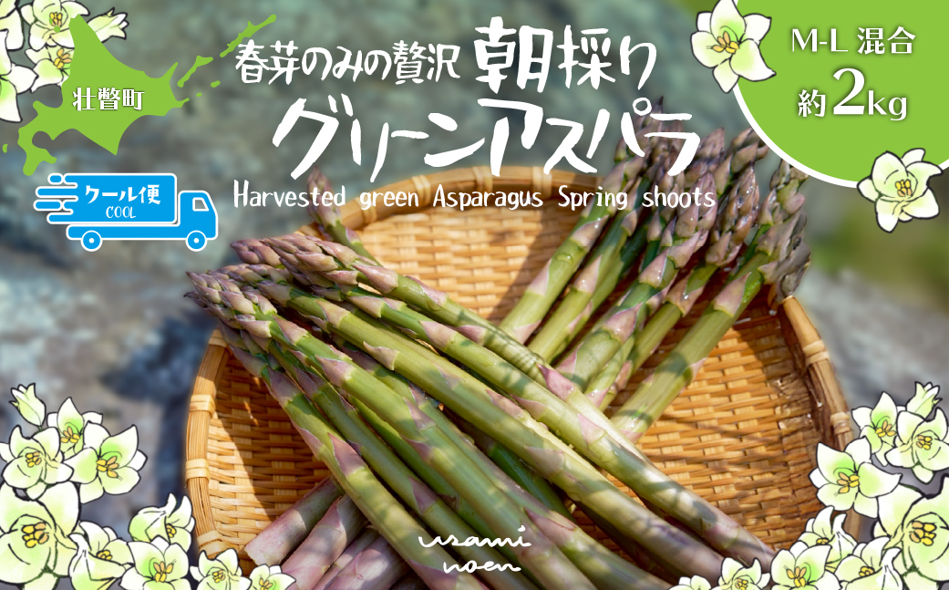 【2026年予約】朝採りグリーンアスパラ（春芽）M-L混合 約2kg 北海道壮瞥町産 SBTAJ034