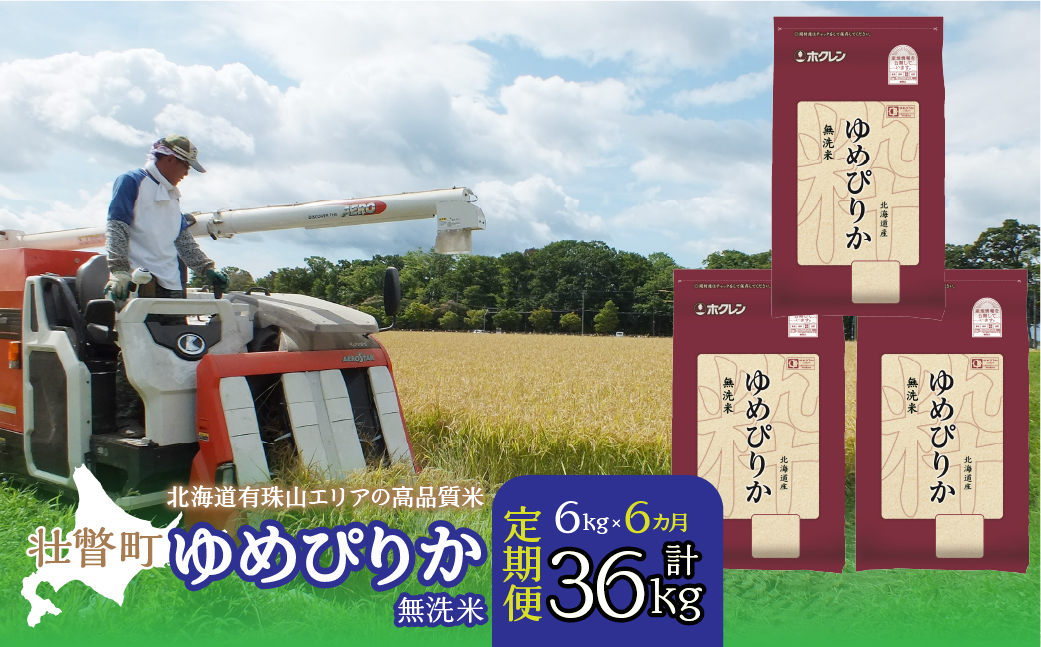 【令和7年産 6ヶ月定期配送】（無洗米6kg）ホクレンゆめぴりか（無洗米2kg×3袋） SBTD055