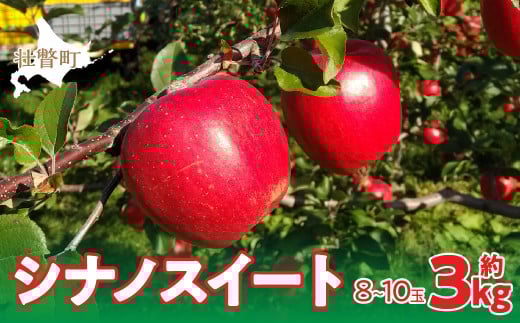 ＜2025年10月下旬よりお届け＞ 北海道壮瞥町 りんご 「シナノスイート」8～10玉約3kg SBTF003