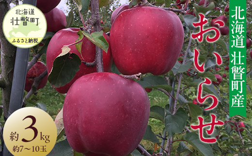 ＜2025年11月初旬よりお届け＞ 北海道壮瞥町 りんご 品種名「おいらせ」約7～10玉 約3kg SBTF005