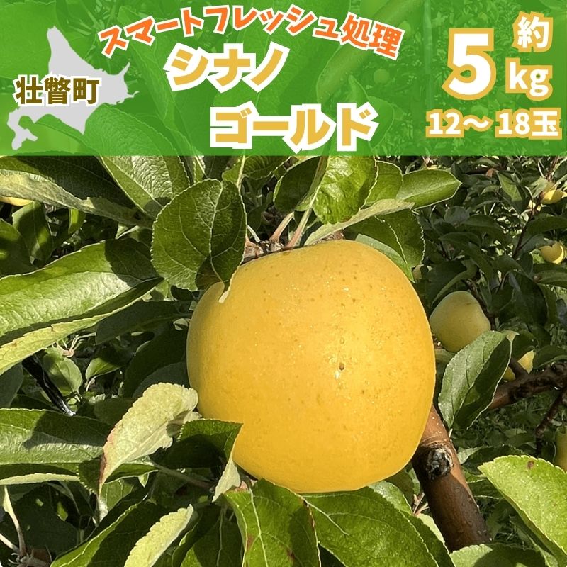 北海道壮瞥町　りんご(スマートフレッシュ)　品種名「シナノゴールド」8～10玉約3kg　SBTF028