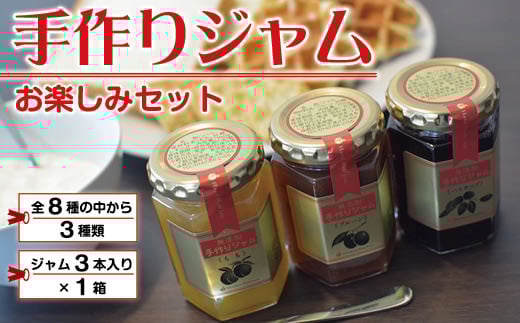 手作りジャムお楽しみセット(3種計3本) SBTK001