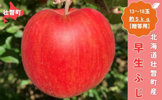 ＜10月中旬頃よりお届け＞北海道壮瞥産りんご 早生ふじ 約5kg(13～18玉)【贈答用】 SBTK014