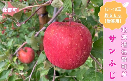 ＜11月下旬頃よりお届け＞北海道壮瞥産りんご サンふじ 約5kg(13～18玉)【贈答用】 SBTK016