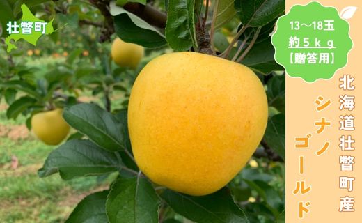 ＜11月下旬頃よりお届け＞北海道壮瞥産りんご シナノゴールド 約5kg(13～18玉)【贈答用】 SBTK018