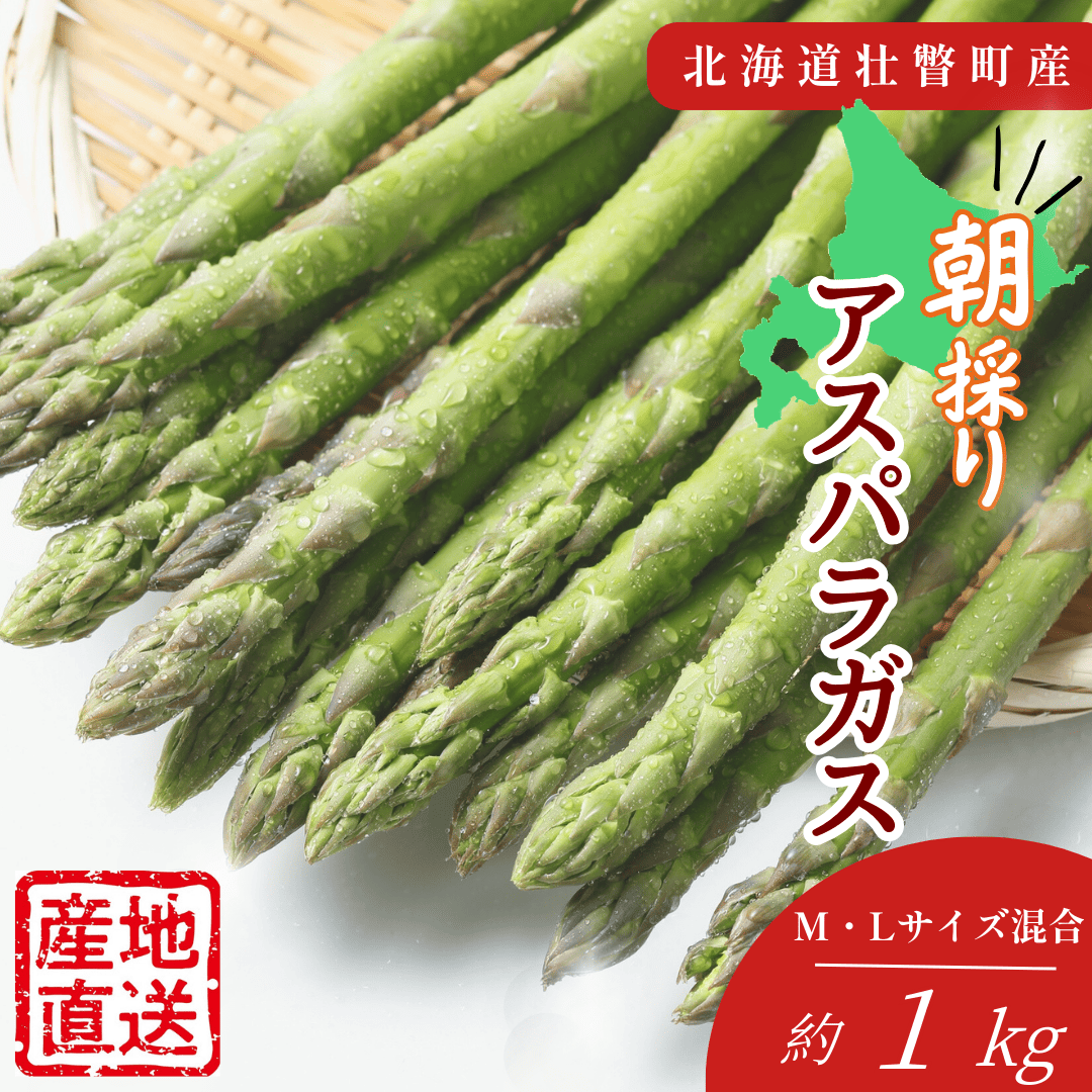 【先行予約】朝採れ直送 グリーンアスパラ約1kg（Ｍ・L混合）北海道壮瞥町産 SBTM001