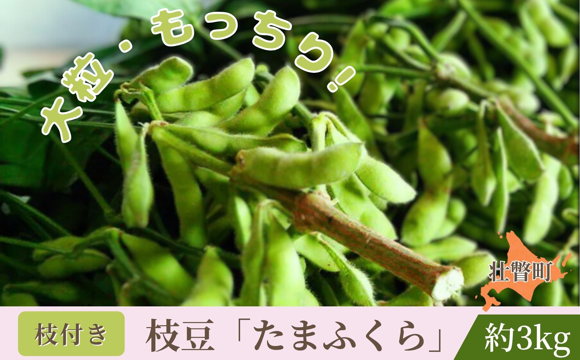 <2025年9月中旬よりお届け>枝付き枝豆「たまふくら」約3kg SBTM007