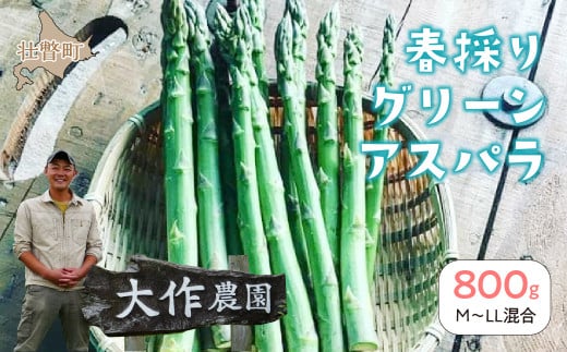 ＜2026年4月中旬よりお届け＞【朝採り】北海道壮瞥町産　春採りグリーンアスパラM～LL混合　約800g SBTR005