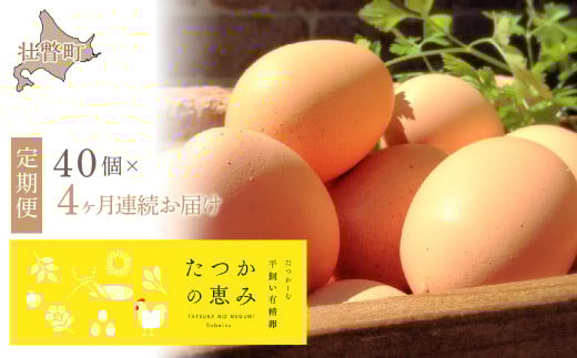 平飼い有精卵『たつかの恵み』40個×4ヶ月連続お届け SBTT003