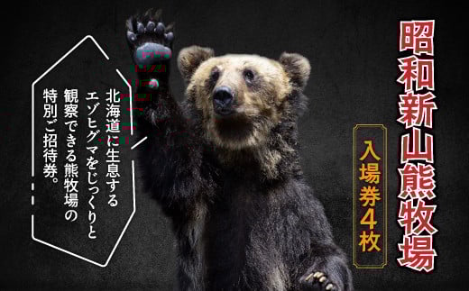昭和新山熊牧場入場券4枚 SBTZ001