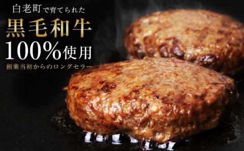 【12月20日決済確定分まで年内発送】いわさき黒毛和牛 創業ハンバーグ 120g×5個 冷凍 白老和牛 和牛 牛肉 100％ ギフト AB021