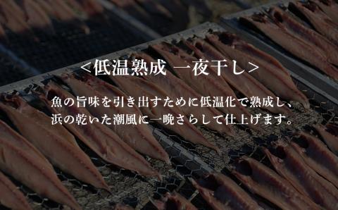 【12月20日決済確定分まで年内発送】低温熟成 一夜干し ひと汐さば 5尾 ＜虎杖浜加工＞ AA025