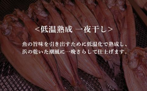 【12月20日決済確定分まで年内発送】低温熟成 一夜干し お楽しみ 詰め合わせ