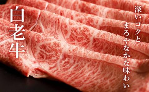 【12月20日決済確定分まで年内発送】白老牛肩すき焼き