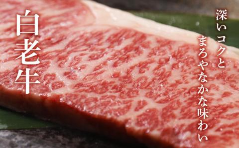 【12月20日決済確定分まで年内発送】白老牛ロースステーキ
