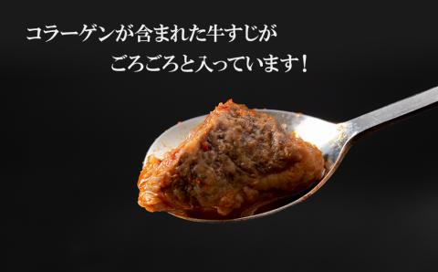 定期便 3カ月 白老牛 すじ スンドゥブ 4パック 韓国料理