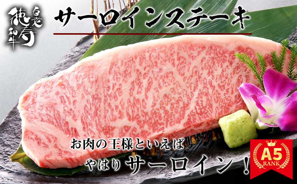 サーロインステーキ＆粗挽き生ハンバーグセット 白老牛 北海道 徳寿 BJ081